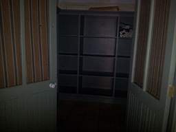 fkillineybeforeinternal 1380.jpg
